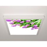 Gök Panel 60X60 LED Panel Sıva Üstü Desenli Tekli 46511114SU - 6500K - Beyaz