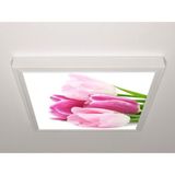 Gök Panel 60X60 LED Panel Sıva Üstü Desenli Tekli 46511115SU - 6500K - Beyaz