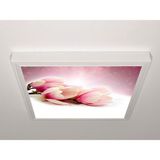 Gök Panel 60X60 LED Panel Sıva Üstü Desenli Tekli 46511116SU - 6500K - Beyaz