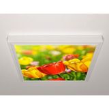 Gök Panel 60X60 LED Panel Sıva Üstü Desenli Tekli 46511118SU - 6500K - Beyaz