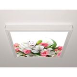 Gök Panel 60X60 LED Panel Sıva Üstü Desenli Tekli 46511121SU - 6500K - Beyaz