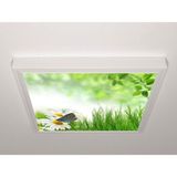 Gök Panel 60X60 LED Panel Sıva Üstü Desenli Tekli 46511123SU - 6500K - Beyaz