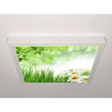 Gök Panel 60X60 LED Panel Sıva Üstü Desenli Tekli 46511125SU - 6500K - Beyaz