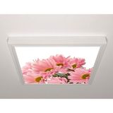 Gök Panel 60X60 LED Panel Sıva Üstü Desenli Tekli 46511133SU - 6500K - Beyaz