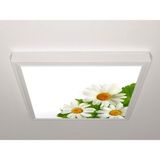 Gök Panel 60X60 LED Panel Sıva Üstü Desenli Tekli 46511134SU - 6500K - Beyaz