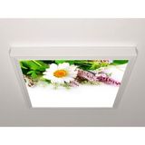 Gök Panel 60X60 LED Panel Sıva Üstü Desenli Tekli 46511135SU - 6500K - Beyaz