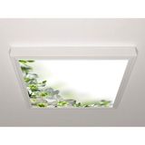 Gök Panel 60X60 LED Panel Sıva Üstü Desenli Tekli 46511136SU - 6500K - Beyaz