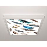 Gök Panel 60X60 LED Panel Sıva Üstü Desenli Tekli 46511226SU - 6500K - Beyaz