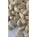 Gökbay Kuruyemiş Kabak Çekirdeği Çiğ 500 gr