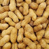 Gökbay Kuruyemiş Kabuklu Yer Fıstığı Kavrulmuş Tuzlu 1 kg