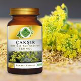 Gökçek Şifa Çakşır Kökü (Fennel) Toz Ekstresi 80 gr. Cam Kavanoz
