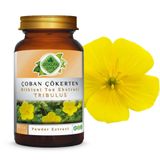 Gökçek Şifa Çoban Çökerten (Tribulus) Toz Ekstresi 80 gr. Cam Kavanoz