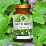 Gökçek Şifa Gotu Kola Toz Ekstresi (Centella asiatica)100 gr. Cam Kavanoz - Sade