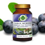 Gökçek Şifa Yaban Mersini (Blueberry) Toz Ekstresi 100 gr Cam Kavanoz