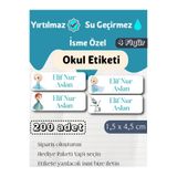 GÖKÇETasarım *ROZET HEDİYELİ* Frozen Temalı İsme Özel Okul Etiketi / Elsa Kırtasiye, Defter, Kalem, Suluk Su geçirmez Sticker