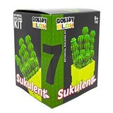Gokidy Blok Sukulent Bitki Yapım Seti No 7 Oza61531