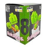 Gokidy Blok Sukulent Bitki Yapım Seti No 8 Oza61531