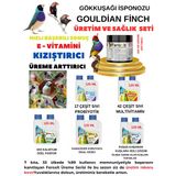 Gökkuşağı İspinozu - Spinoz Ve Tüm Finch Üreme Dönemi Ve Sağlık Seti Bol Yavru Yüksek Verim