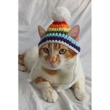 Gökkuşağı Renkli Örgü Kedi Ve Köpek Şapkası