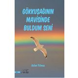 Gökkuşağının Mavisinde Buldum Seni - Aslan Yılmaz
