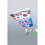 Gökyüzü Panel 124Cm X 186Cm-Altılı- Led-Sıva Üstü-324 Watt-162 Watt-Asma Tavan Led Aydınlatma-Avize Modelleri