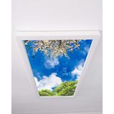 Gökyüzü Panel 60X120 106W, Sıva Üstü, Güçlü LED Aydınlatma, Beyaz Çiçekler, Tavan Armatürü, LED Panel - Beyaz-6500K
