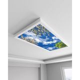Gökyüzü Panel 60X120 106W, Sıva Üstü, Güçlü LED Aydınlatma, Tavan Armatürü, LED Panel, Ofis Aydınlatması - Beyaz