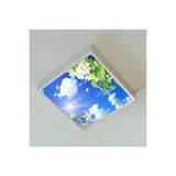 Gökyüzü Panel 60X60 Ledli-Trendyol Avize-Bulutlu Çiçekler Tavan Avize-54Watt-Tavana Yapışık Lamba-Salon Avize