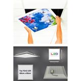 Gökyüzü Panel Asma TAVAN-60 cm x 60 cm -SIVA ALTI-54W-6500K-BEYAZ-LED Panel-Led Armatür- 60 x 60 Taş Yünü Asma Tavan -Led - 1