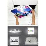 Gökyüzü Panel Asma Tavan Led-60Cmx60 Cm Sıva Altı-54W-6500K Led Panel Led Armatür- 60X60 Taş Yünü Asma Tavan Ledi