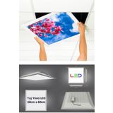 Gökyüzü Panel Asma Tavan Led-60Cmx60cm-Sıva Altı-54W-6500K-Led Panel-Led Armatür-60X60 Taş Yünü Asma Tavan Ledi-A+