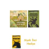 Gökyüzünden Gelen Gri Tüy + Dünyanın Merkezine Yolculuk + Siyah İnci Hediye