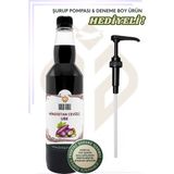 Gold Gull Hindistan Cevizli Ube Aromalı Kahve & Meyve Şurubu 700 ml