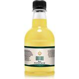 Gold Gull Muz Aromalı Kahve & Meyve Şurubu 300 ml