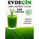Gold Mind Evdeçim 1KG Buğday, Arpa, Yulaf Çimi Tohumu (3lü karışım) 1KG
