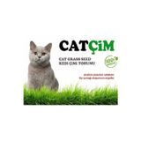 Gold Mind GoldMind KEDİ ÇİMİ KİTİ 1Kg Arpa Buğday Yulaf. (3lü Karışım) 1Kg