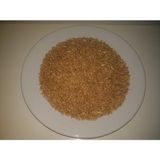 Gold Mind Kuş Yemi 5kg Buğday