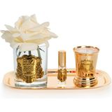 Gold Pirinç Mum&tek Gül Set Krem