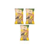 Gold Wings 3 Adet Sade Kanarya Yemi 300 gr (aspur) Skt: 02/2027