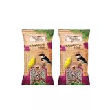 Gold Wings Meyveli Kanarya Yemi 300 Gr X 2 Paket