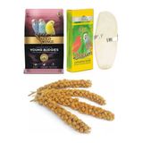 Gold Wings Premium Yavru Muhabbet Kuşu Yemi 1 Kg. Kalamar Kemiği Daldarı