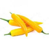 Golden Acı Gayenne Biber Tohumu 20 Adet Tohum + Spriz To...
