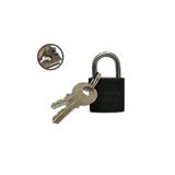 GOLDEN LINK Anı Defteri Kilidi Mini Asma Kilit 20 Mm + 2 Adet Yedek Anahtar Asma Kilitler