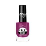 Golden Rose City Color Fall Winter Collection No:313 Oje