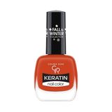 Golden Rose Keratin Fall&Winter 209 Collection Oje