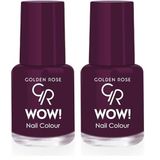Golden Rose Wow Fall&Winter Collection No:317 - Oje 2li paket