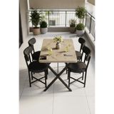 GOLDFALEZ Mutfak Masası 4 Sandalyeli Set 110x70 cm Modern Bahçe Cafe Masa Takımı 4 Kişilik Tedy 9883 Anstrasit
