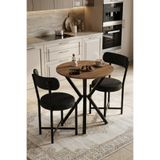 GOLDFALEZ Mutfak Masası 70 Çap Yuvarlak 2 Sandalyeli Masa Takımı Modern Bahçe Balkon Cafe Teddy 9841 Antrasit
