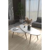 GOLDFALEZ Orta Sehpa Seti Modern 2’li Ahşap Ayaklı Salon Oturma Odası Dekoratif Sehpa Takımı 8888 Beyaz