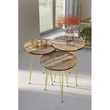Goldfalez Zigon Sehpa Çift Gold Ceviz Tel